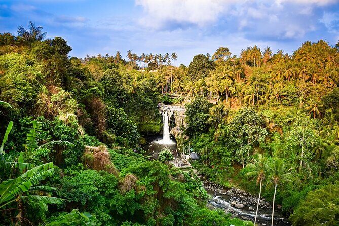 Full-Day Highlights and Best of Ubud Village - A tight Ubud day with a private A/C car and a real game plan