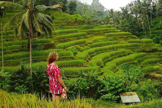 Full-Day in Bali: Private Design-Your-Own Tour - Price and what $35 per person is actually buying you