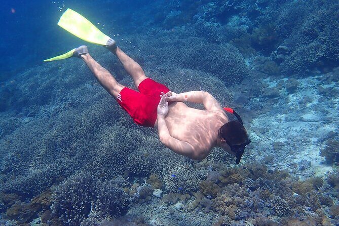 Full-Day Island-Hopping Tour from Bali - Sanur to Nusa Lembongan: Your Fast Boat Start