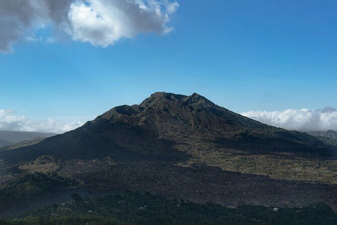 Full Day Kintamani Volcano View and Ancient Penglipuran Village - Bali Coffee Plantation: learn how coffee grows, and why Luwak is famous
