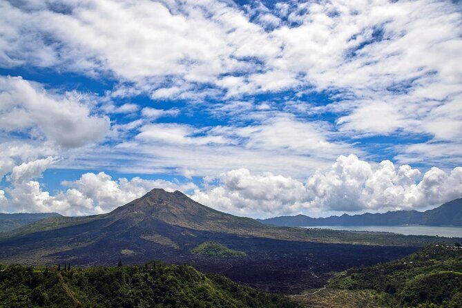 Full Day Kintamani Volcano View and Ubud Village Tour - Key highlights worth your attention