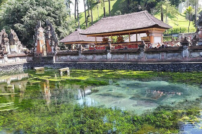 Full Day Kintamani Volcano View and Ubud Village Tour - Why the $65 price can feel like good value