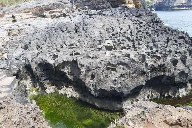 Full-Day Nusa Penida Island Private Tour with Local Guide - Price and value: is $100 per person worth it?