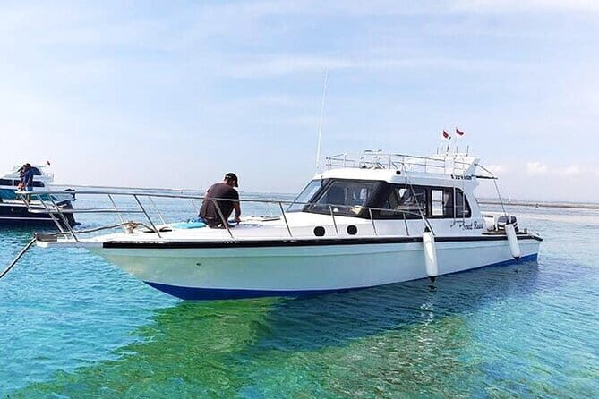 Full-Day Nusa Penida Island with Snorkeling from Bali - Manta Point: why this tour sells itself (and what to expect)