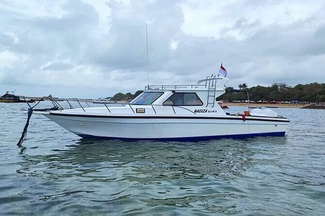 Full-Day Nusa Penida Island with Snorkeling from Bali - The full itinerary: bays for marine life, beaches for photo stops