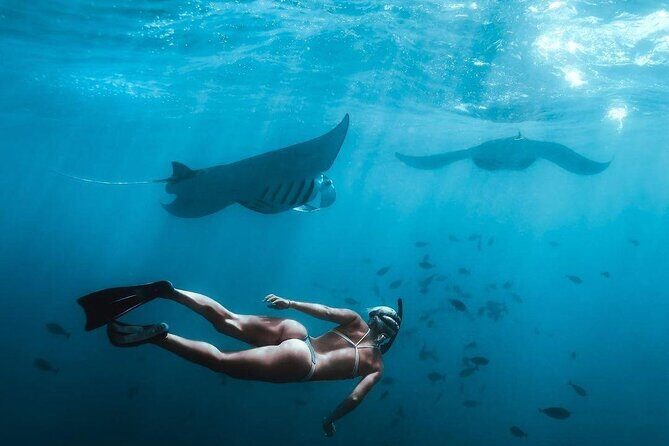 Full Day Nusa Penida Manta Point Snorkeling and West Island Tour - Why Nusa Penida West Works So Well for Snorkel + Sightseeing