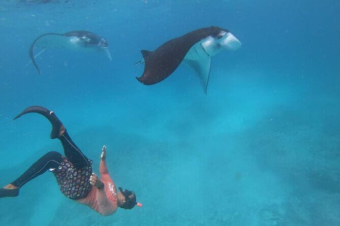 Full Day Nusa Penida Manta Point Snorkeling and West Island Tour - Gamat Bay Snorkeling: A Second Underwater Stop That Changes the Day