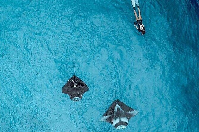 Full Day Nusa Penida Manta Point Snorkeling and West Island Tour - Kelingking Beach, Broken Beach, and Angel’s Billabong: Photo Stops With Real Variety
