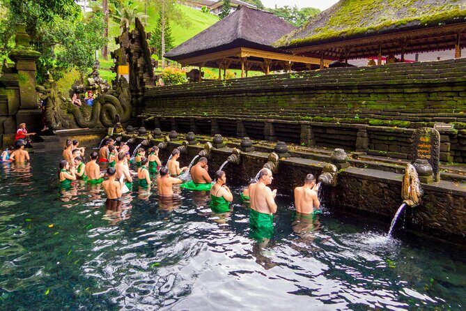 Full-Day Private Car Charter in Bali with Local Guide - Private car + guide-driver: why this Ubud day feels easier