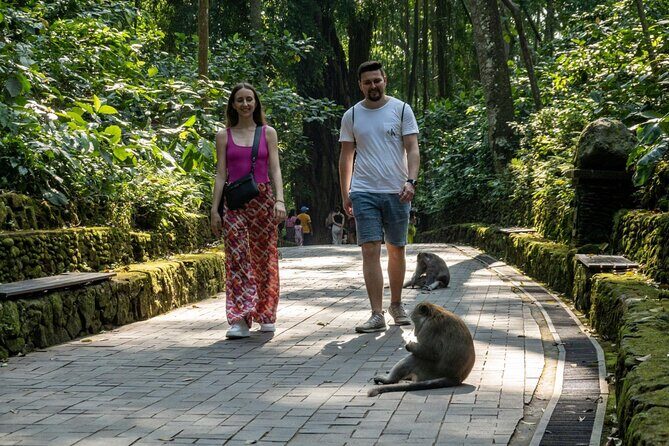 Full-Day Private Car Charter in Bali with Local Guide - Tegalalang Rice Terrace: rice fields plus optional swing time