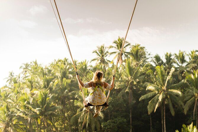 Full-Day Private Car Charter in Bali with Local Guide - Sacred Monkey Forest Sanctuary: iconic animals, real behavior to plan for