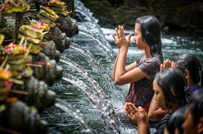 Full-day Private Cultural Tour of Ubud in Bali - A Private Ubud Day With Pickup and an English-Speaking Driver