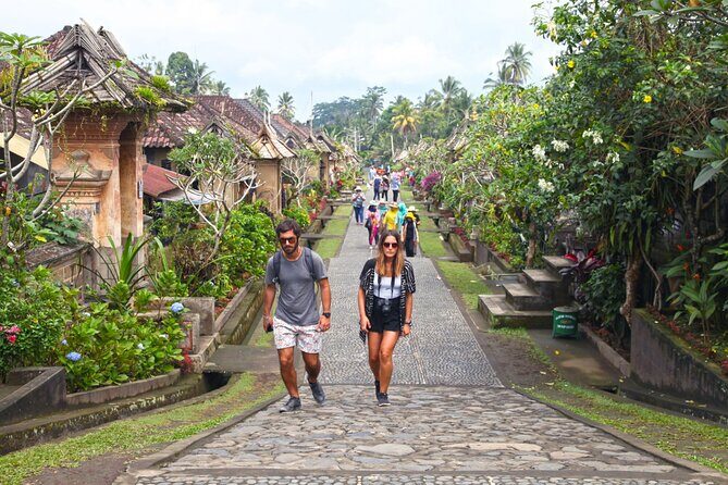 Full-Day Private Guided Exploring Bali as You Wish Tour - Ubud and Culture Stops: What You Get From Temples and Town Life