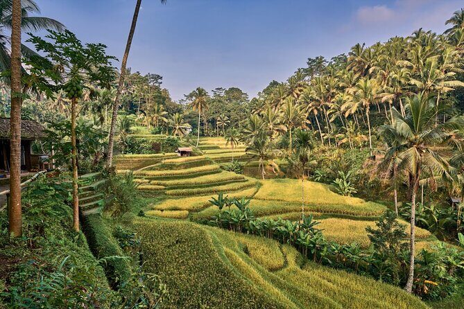 Full Day Private Guided Tour to Bali - Private 9-hour Bali day from Ubud: what the experience really feels like