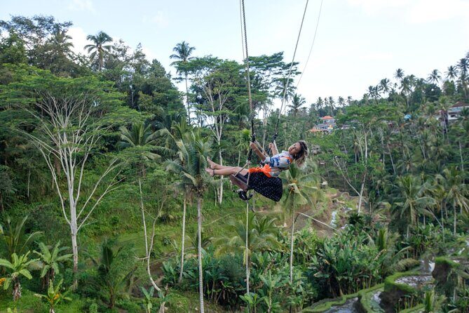 Full Day Private Guided Tour to Bali - Tirta Empul Temple: holy springs, purification rituals, and real atmosphere