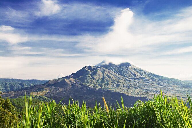 Full Day Private Guided Tour to Bali - Sacred Monkey Forest Sanctuary: ancient trees, temples, and hundreds of monkeys