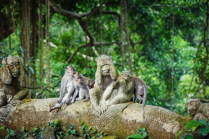 Full Day Private Guided Tour to Bali - Optional add-ons: how to choose what fits your day