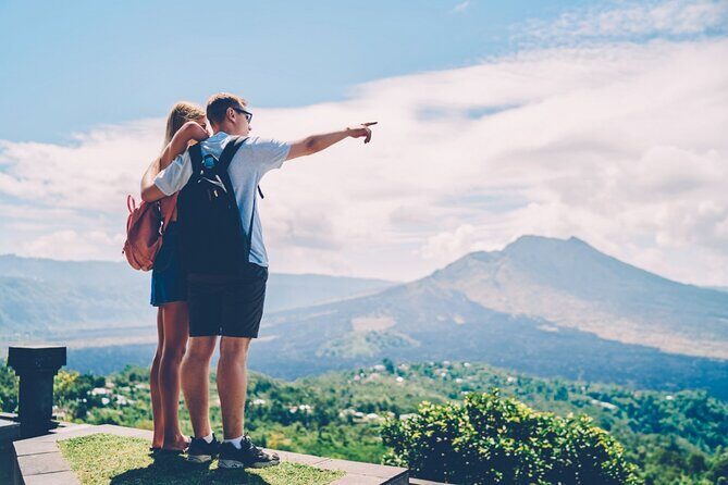 Full Day Private Guided Tour to Bali - Pickup, private transport, and why the guide/driver matters