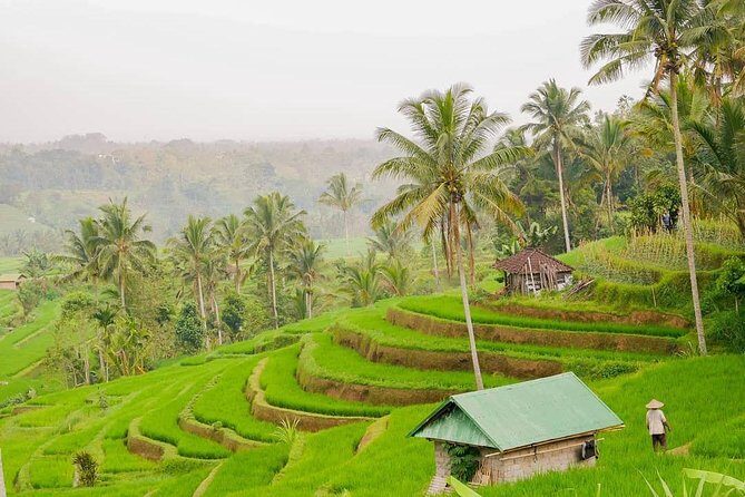 Full-Day Private North Bali Tour with Free WiFi - Private North Bali starts with an easy pickup and a real plan
