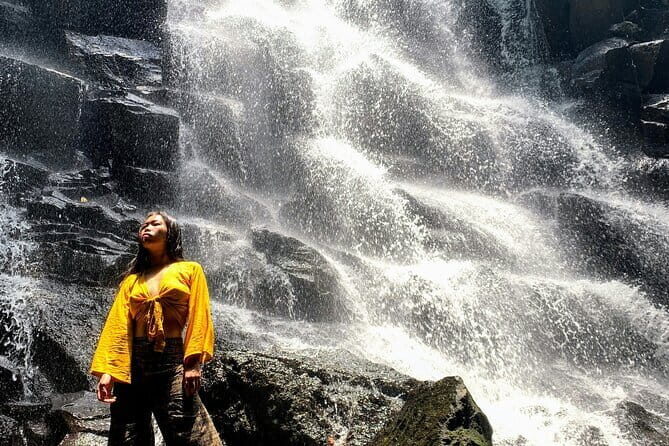 Full Day Private Tour All Inclusive Hidden Gems Bali Waterfall - Key highlights you’ll actually care about