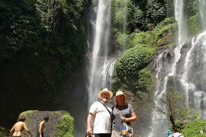 Full Day Private Tour All Inclusive Hidden Gems Bali Waterfall - Lunch Break: Indonesian Food to Reset Your Day