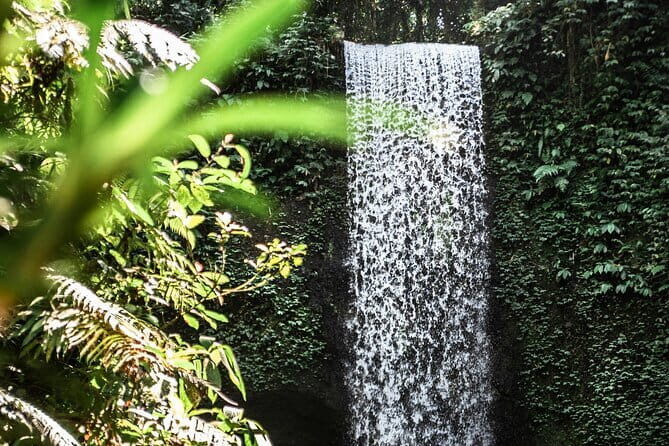Full Day Private Tour All Inclusive Hidden Gems Bali Waterfall - What Makes the Tour Feel Smooth: The Driver-Guide