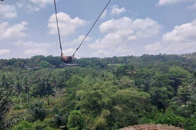 Full Day Private Tour from Tegenungan Waterfall to Tanah Lot - Tegalalang Rice Terraces: the view you came for