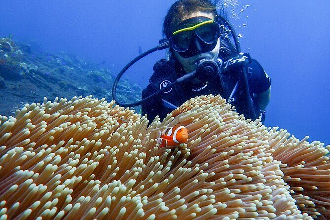 Full-Day Scuba Diving Experience of USAT Liberty in Tulamben - The Full-Day Timeline: What Your 10 Hours Look Like