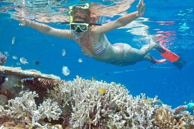 Full-Day Tour in Nusa Penida Island + Snorkeling Experience - Key highlights at a glance