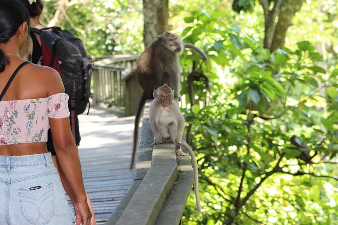 Full day Tour to Best of Ubud with jungle swing - The Driver/Guide Factor: Why Names Like Wayan Matter