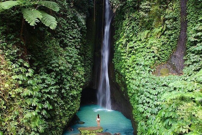 Full-Day Tour to Water Temples and UNESCO Rice Terraces in Bali - A Ubud-to-West-and-North Day That Feels Like a Best-Of