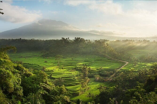 Full Day Tour to Water Temples UNESCO Rice Terraces in Bali - UNESCO subak, Hindu temples, and why this day tour works
