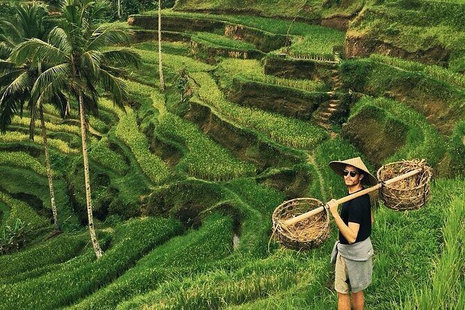 Full Day Ubud Custom Private Tour with Hotel Pickup - Price and logistics: what you’re paying for at $35.20 per person