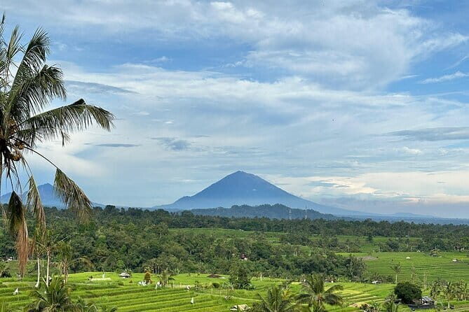 Full-day Ubud Private tour : Cultural Heritage - Tegalalang Rice Terrace: where the views do the talking