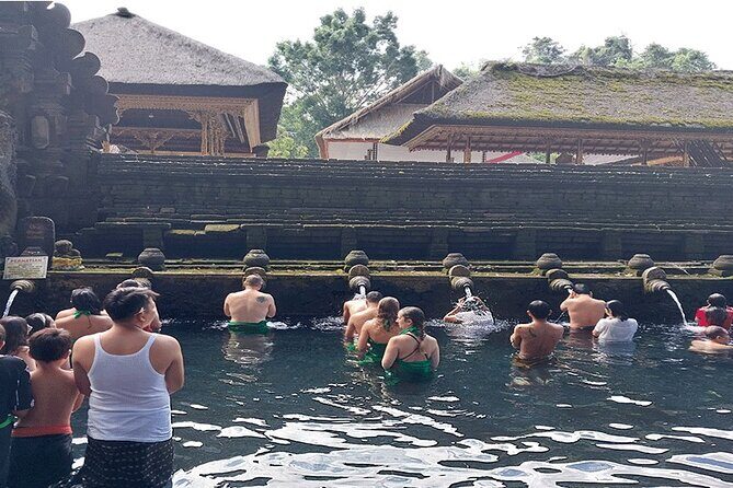 Full Day Ubud Tour - Saraswati Temple: lotus pond water garden and frangipani