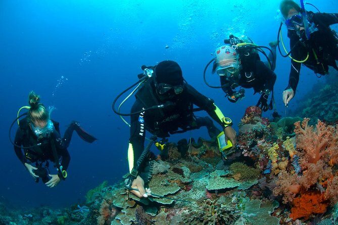 Fun Diving Tulamben Bali - For Certified Divers - Seminyak to Tulamben: an early start that pays off