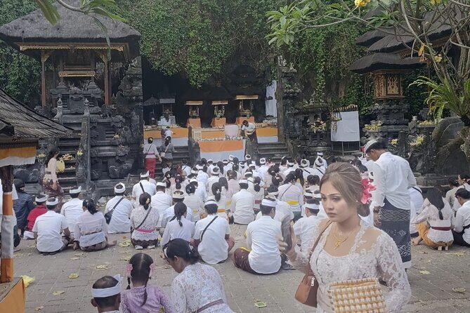 Gate Heaven Lempuyang Tirta Gangga East Bali Private Guided Tour - The logistics are the secret sauce (pickup, AC, and less stress)