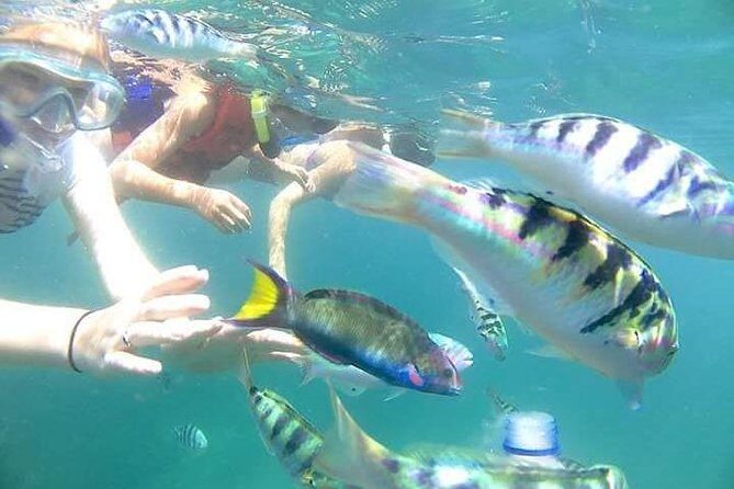 Gate Heaven Tirta Gangga With Snorkeling Private Guided Tour - Private Pickup and a 10-Hour Day: How to Think About Time
