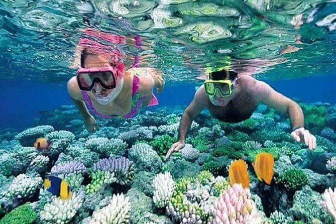 Gate Heaven Tirta Gangga With Snorkeling Private Guided Tour - Snorkeling at Blue Lagoon and Tanjung Jepun: Coral, Fish, and the Chance for Turtle Moments