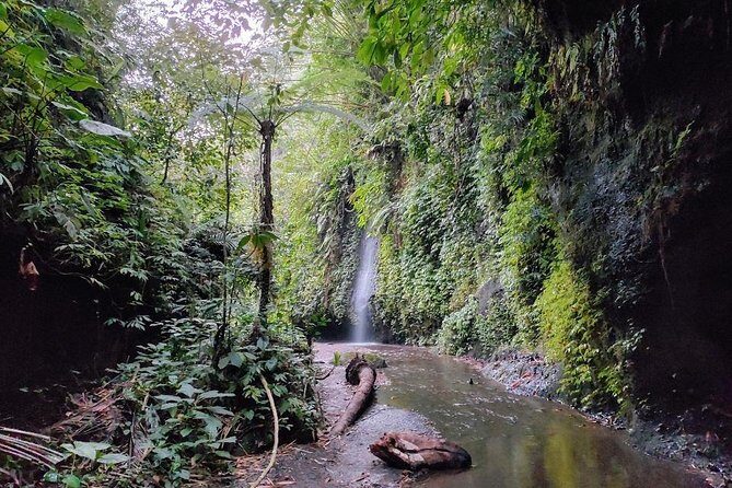 Get wet on Bali's most stunning waterfalls - A Waterfall Day From Ubud With a Private Guide Driving the Pace