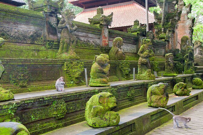 Goa Gajah / Elephant Cave Temple And Ubud Tour - All Inclusive - Tegalalang Rice Terrace: scenic steps plus optional adventure vibes