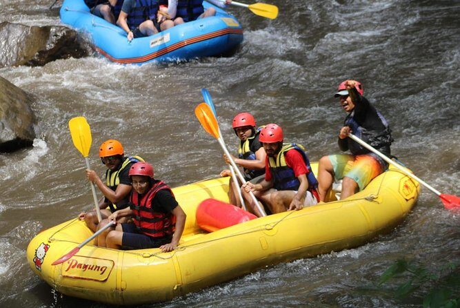 Green Bali Rafting Ticket And Transfer - Optional quad biking: adding action without complicating the day