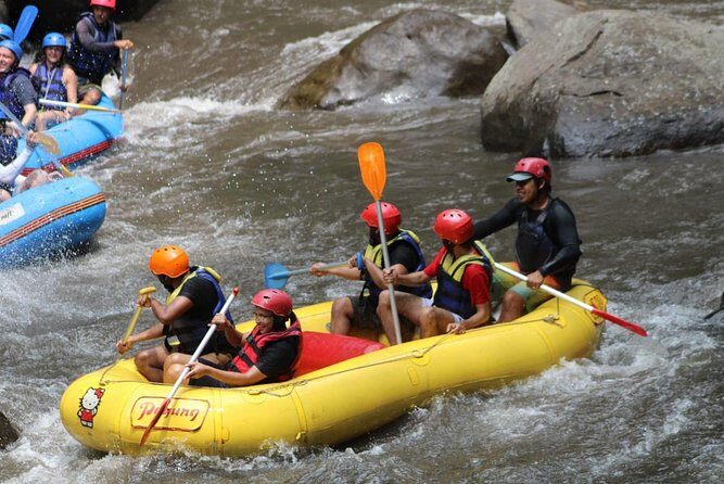 Green Bali Rafting Ticket And Transfer - Weather, timing, and getting the most out of your rafting day