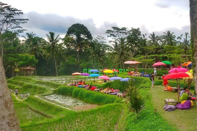 Half Day Cycling Tour ( Manual Bike ) - Price and Value at $33: Why This Is One of the Better Deals in Ubud Cycling