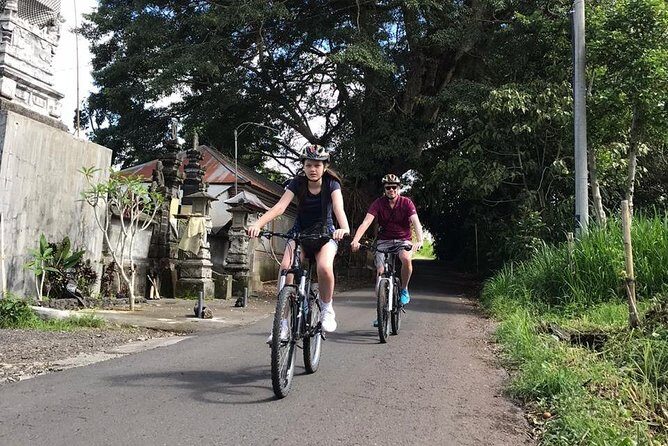 Half Day Cycling Tour ( Manual Bike ) - Who Should Book This Manual Bike Tour (and Who Might Not)