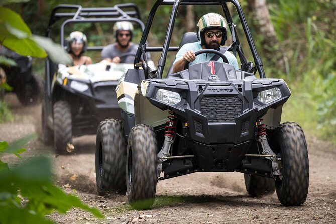 Half Day Jungle Buggies in Bali with Guide - Mason Gourmet Chocolate Factory Showroom Stop: A Sweet Reset