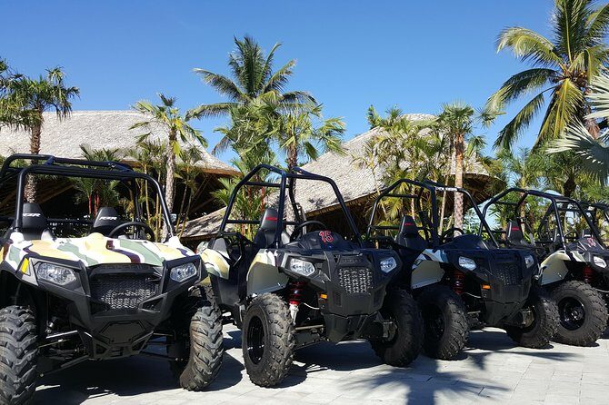 Half Day Jungle Buggies in Bali with Guide - How Long This Half Day Actually Feels in Kuta Timing