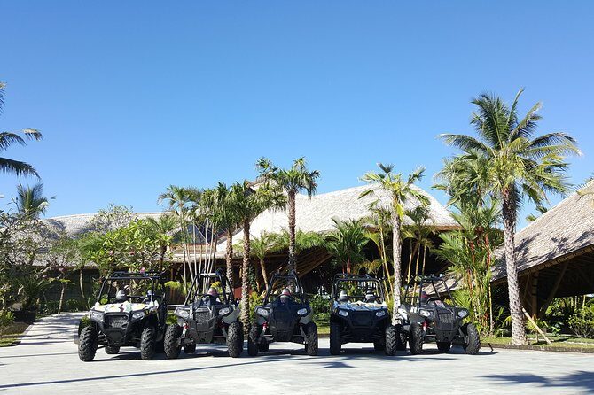 Half Day Jungle Buggies in Bali with Guide - Price and Value: Why $57 Feels Fair for This Mix