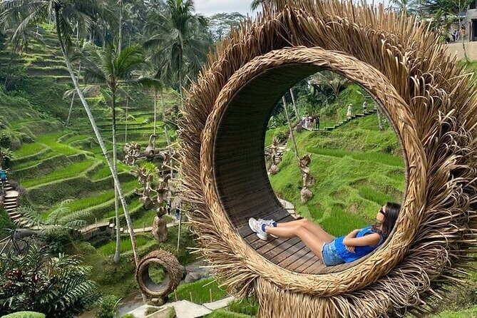 Half Day Private Tour in Ubud - Tegalalang Rice Terrace: UNESCO Views and the Fun Stuff You Can Choose