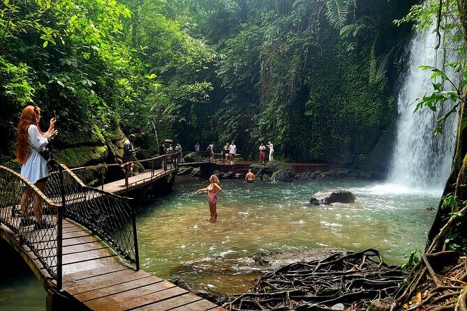 Half Day Tour Ubud Rice Terrace with Activities and Waterfall - Key Highlights at a Glance